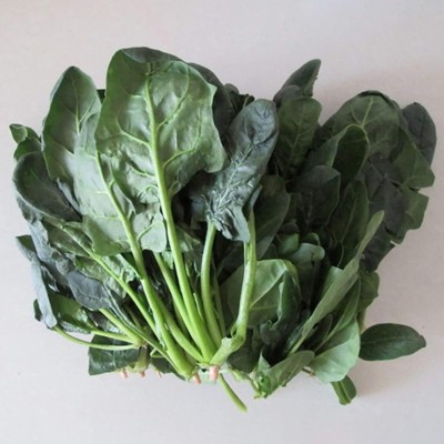 KNESSiN VIII-20 Spinach Seed(200 per packet)