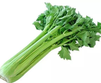 ENTENT Celery Vegetable/Herb Seed(120 per packet)
