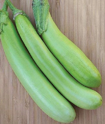 Biosnyg F1 HYBRID GREEN LONG BRINJAL ( Seeds) Seed(2000 per packet)