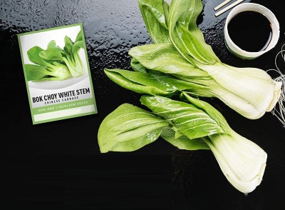 Biosnyg Bok Choy Chinese Cabbage(Pak Choi)[500 Seeds] Seed(500 per packet)