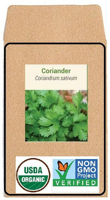 CYBEXIS Hybrid Seeds-Coriander700 Seeds Seed(700 per packet)