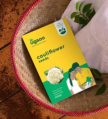 UGAOO Cauliflower Vegetable Seeds (White, Pack of 25 gram) Seed(10 g)