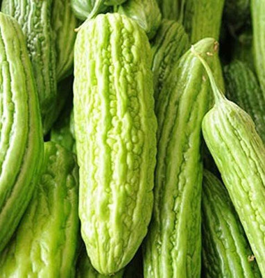 CYBEXIS Seeds of Vegetable Bitter Gourd Melon Mix Oriental400 Seeds Seed(400 per packet)