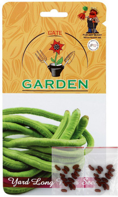 CYBEXIS Yard Long Beans Improved 2 in 1 Flower Seed Combo-100 Seeds Seed(100 per packet)