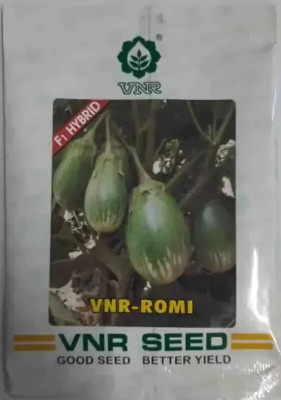 the green dotcom vnr ROMI hybrid brinjal Seed (10 g) Seed(60 per packet)