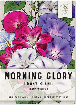 VibeX GUA-49 - Morning Glory Crazy Mixture (Ipomoea Mixture) - (100 Seeds) Seed(100 per packet)