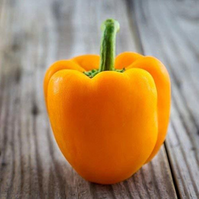 VibeX PAU-45 - Hybrid Yellow Capsicum - (1350 Seeds) Seed(1350 per packet)