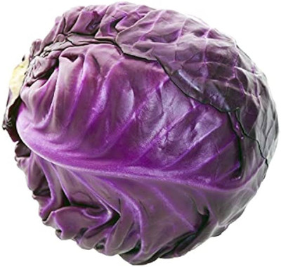 wequality purple f1 cabbage seeds /cabbage seeds 39 Seed(39 per packet)