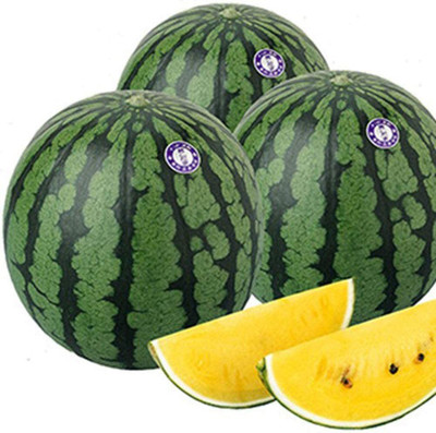 CYBEXIS Yellow Melon Flesh Vine Heavy Yield Sweet200 Seeds Seed(200 per packet)
