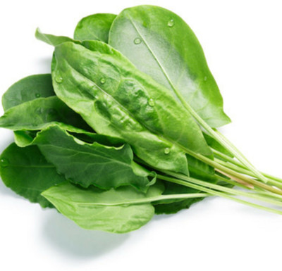 Quentova Palak Spinach Vegetables-XLR-11B Seed(250 per packet)