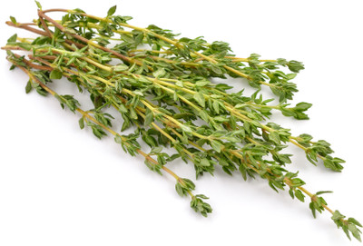 XOLDA Thyme herbs Seed(36 per packet)