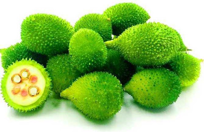 seedargo kantola seeds hybrid, kakoda hybrid, kakrol, kantola seeds desi Seed Seed(11 per packet)
