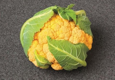 CYBEXIS Yellow Cauliflower1000 Seeds Seed(1000 per packet)