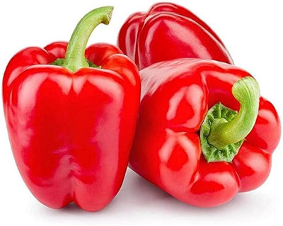 BDSresolve red capsicum seeds/capsicum seed 20 Seed(20 per packet)