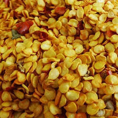 WILLVINE VNR -V Heirloom World'S Best Hybrid Chilli Seeds [10gm, 2000 Seeds] Seed(2000 per packet)