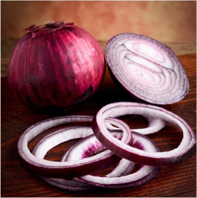 CYBEXIS KGF -54 - Red Burgundy Onion - (13500 Seeds) Seed(13500 per packet)