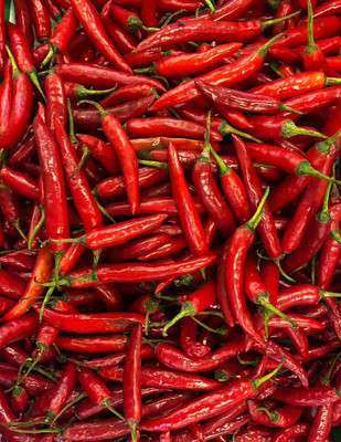 BDSresolve Hybrid hot chilli seeds PACK OF 162 Seed(162 per packet)
