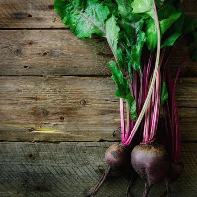 LPR CHUKANDAR,,BEETROOT Seed(20 per packet)
