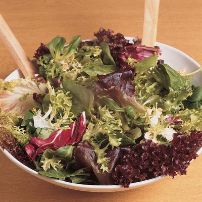 CYBEXIS Lettuce seeds LOLLO ROSSA 2000 Seeds Seed(2000 per packet)