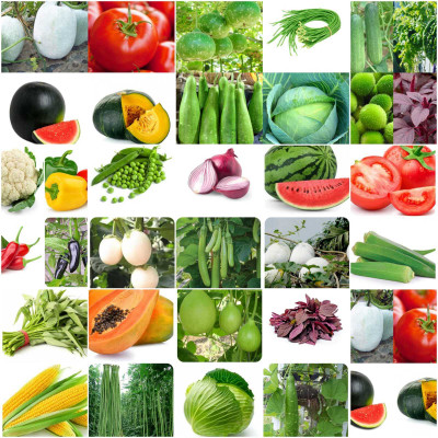 abiswas 40 Variety Vegetable Seeds Combo Pack Seed(1700 per packet)