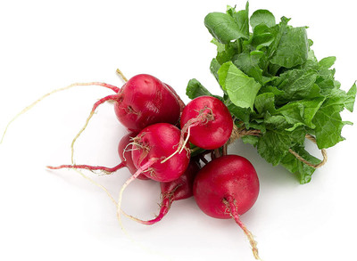 CYBEXIS XLL-1 - Radish Cherry Belle - (750 Seeds) Seed(750 per packet)