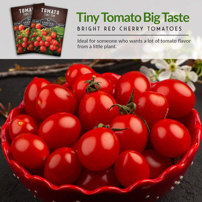 Qualtivate PUAS-3A Tiny Tim Tomato Seed Seed(300 per packet)