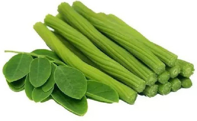 Quentova Vegetable drumstick/moringa Oleifera-LTK-2V Seed(50 per packet)