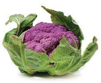 Aywal Purple Cauliflower|Phol Gobhi Hybrid F1 Seeds for Home Gardening Seed(160 per packet)