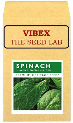 CYBEXIS Malabar Spinach Hybrid Seeds500 Seeds Seed(500 per packet)