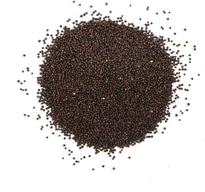 WILLVINE AMR -IX Broccoli Spring Raab Rapini Seeds [5g] Seed(5 g)
