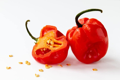 Biosnyg High Germination Scotch Bonnet Red Chilli Seeds For Gardening-(2000 Seeds) Seed(2000 per packet)