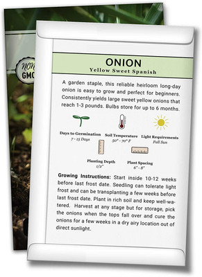 Biosnyg ROX-61 Yellow Spanish Onion Seed-[800 Seeds] Seed(800 per packet)