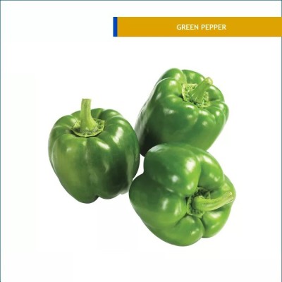 VASUDHA Capsicum Green Pepper Seed(250 per packet)