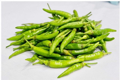 MOGEX Bird Pepper Green Chili Seed(400 per packet)