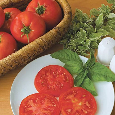 Quentova Supersteak Beefsteak Tomato 5gm Seeds Seed(2000 per packet)