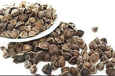 Qualtivate GBPT-4A Pkm-1 Drumstick(Moringa) Seeds Seed(50 per packet)
