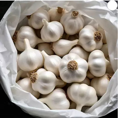 moglecart Garlic Hybrid Vegetable Seeds, Lahsun Fresh Garlic 5kg Seed(5 kg)