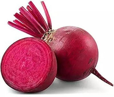 MYLAWN Dark Red Beet Seeds | Ruby Red Seed(2000 per packet)