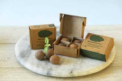 CRGO GERMINATION KIT Seed(26 per packet)