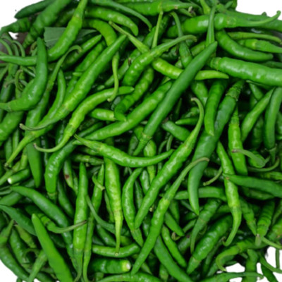granthi High Quality Green Chilli हरी मिर्च Seed(2500 per packet)