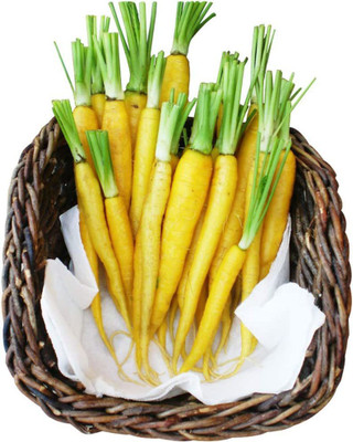 CYBEXIS Organic Yellow Carrot Seeds2000 Seeds Seed(2000 per packet)