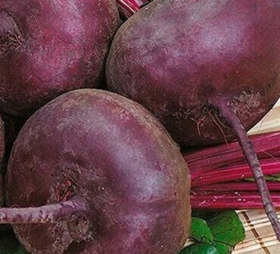 Quentova High Quality Red Beauty Beetroot-AJ Seed(300 per packet)