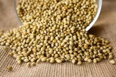 MAA Corinader, Dhania Seed(260 per packet)