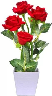 Aro Rose, Flower seeds Seed(37 per packet)