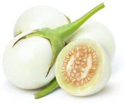 WILLVINE TLX-485 Brinjal Chu Chu White Seeds Seed(200 per packet)