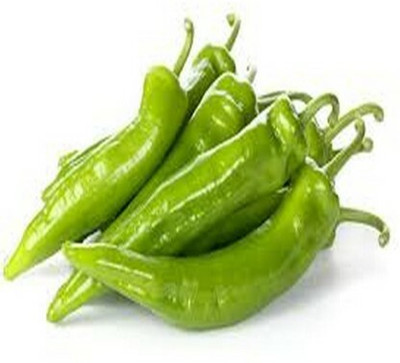 XOLDA Organic Chilli vasuda Seed(15 per packet)