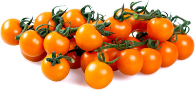 VRAKSHA Tomato Seed(500 per packet)
