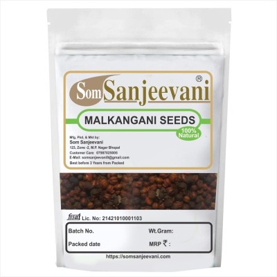 SOMSANJEEVANI Malkangani Seeds Pure | Jyotishmati Natural for memory Pack 100g Seed(100 per packet)