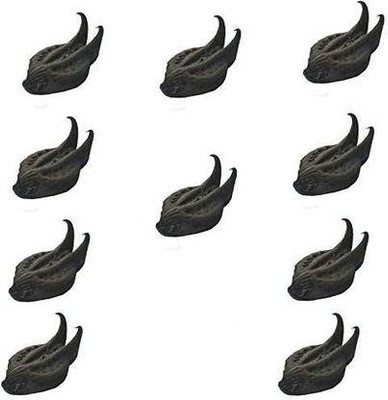 everlite GURUJI KIT SEEDS, BATHEAD ROOTS, EVIL POD, DEVIL POD - 10 pcs Seed(10 per packet)