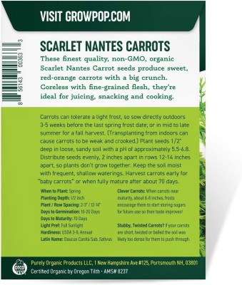 CYBEXIS GBPUT-95 - Carrot Scarlet Nantes Daucus carota - (250 Seeds) Seed(250 per packet)